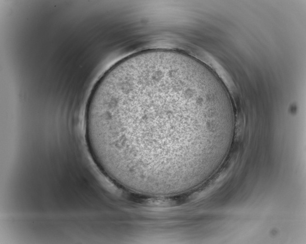 X0000102390795200808151920