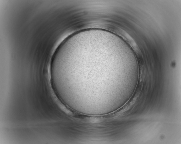 X0000102390796200808151920