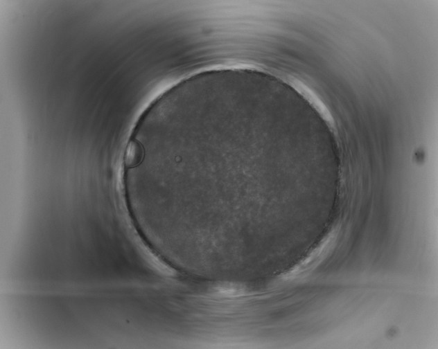 X0000102390797200808151920