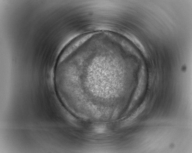 X0000102390798200808151920