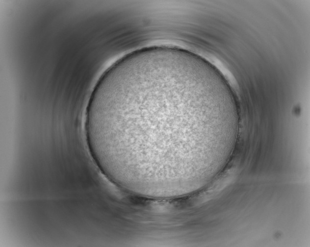 X0000102390799200808151920