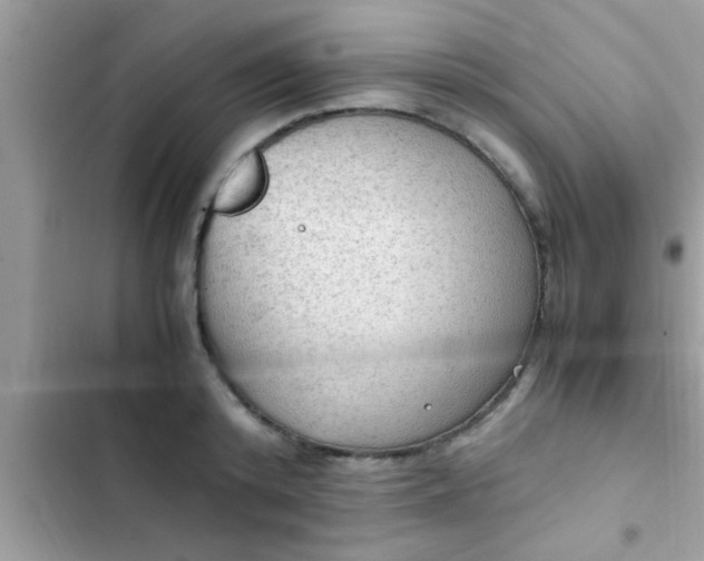 X0000102390800200808151919