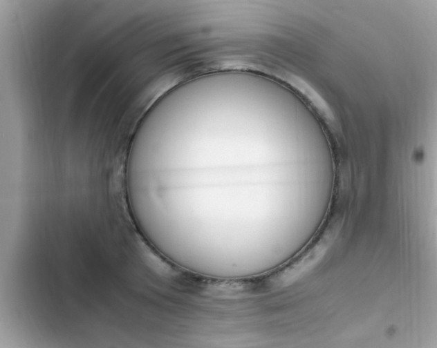 X0000102390801200808151919