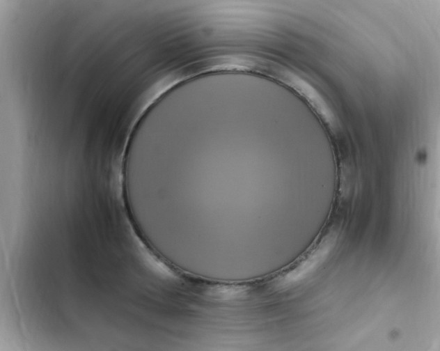 X0000102390802200808151919