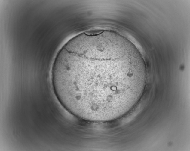 X0000102390803200808151919