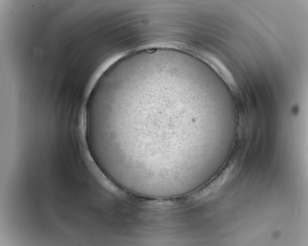 X0000102390804200808151919