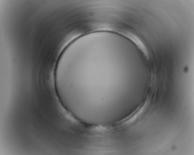 X0000102390806200808151919