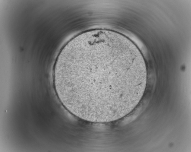 X0000102390807200808151919