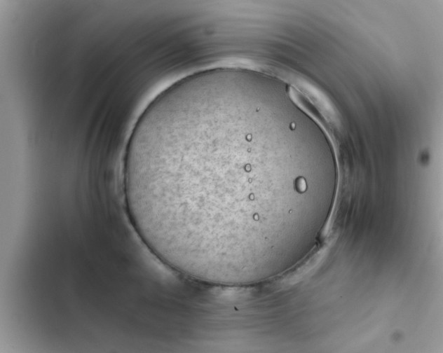 X0000102390808200808151919