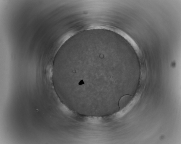 X0000102390809200808151919