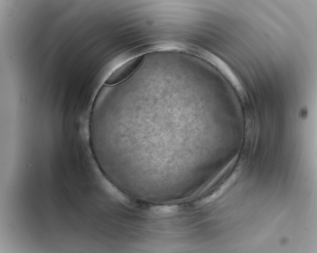 X0000102390810200808151919