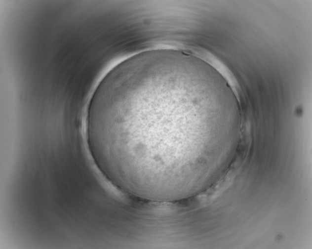 X0000102390811200808151919