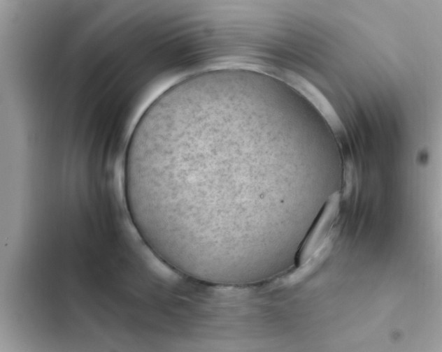 X0000102390812200808151919