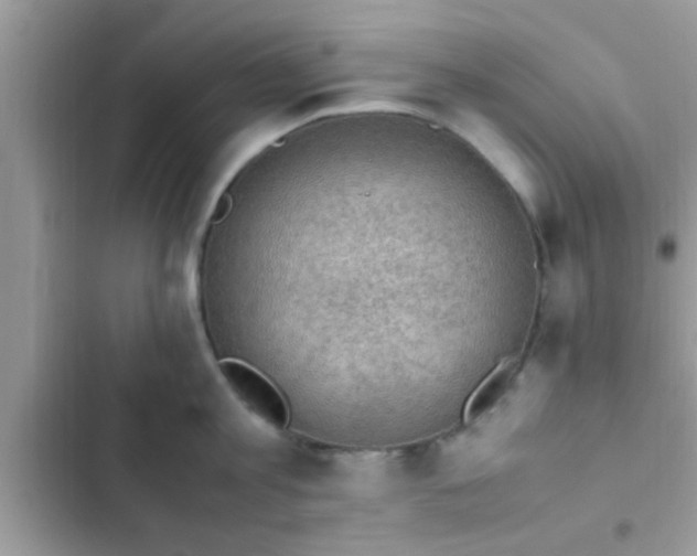 X0000102390813200808151919