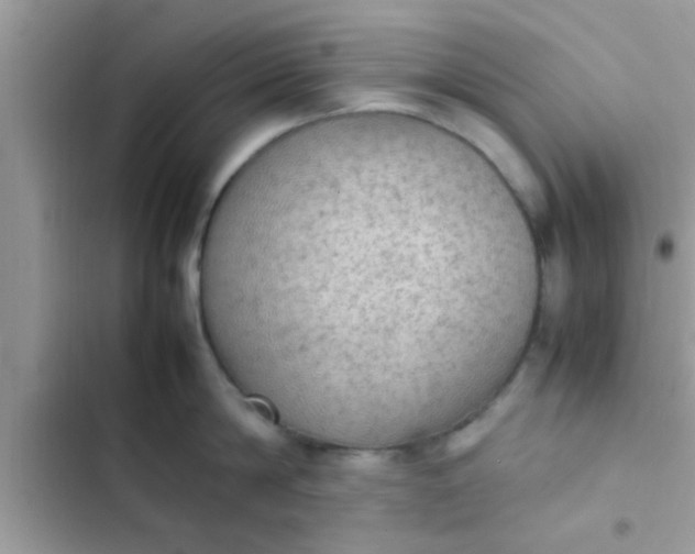 X0000102390814200808151919