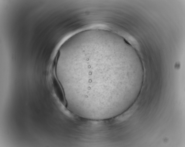 X0000102390816200808151919