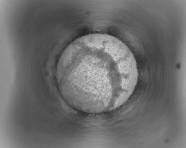 X0000102390817200808151919