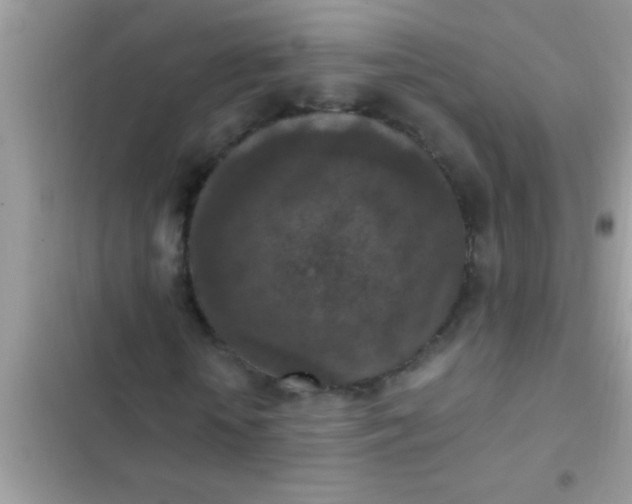 X0000102390818200808151919