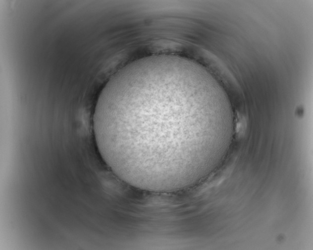 X0000102390819200808151919