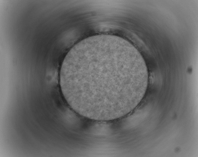 X0000102390820200808151919