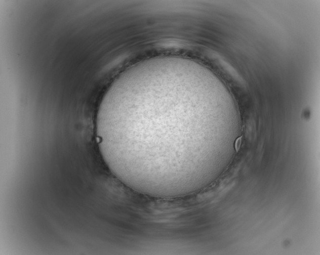 X0000102390821200808151919