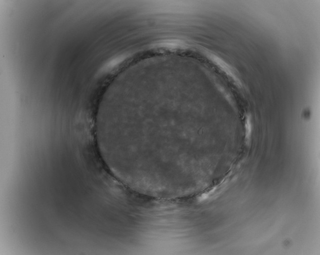 X0000102390822200808151919