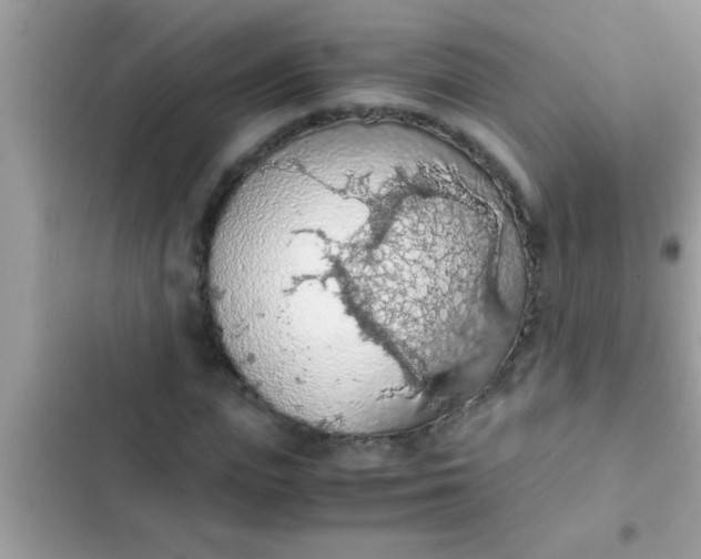 X0000102390823200808151919