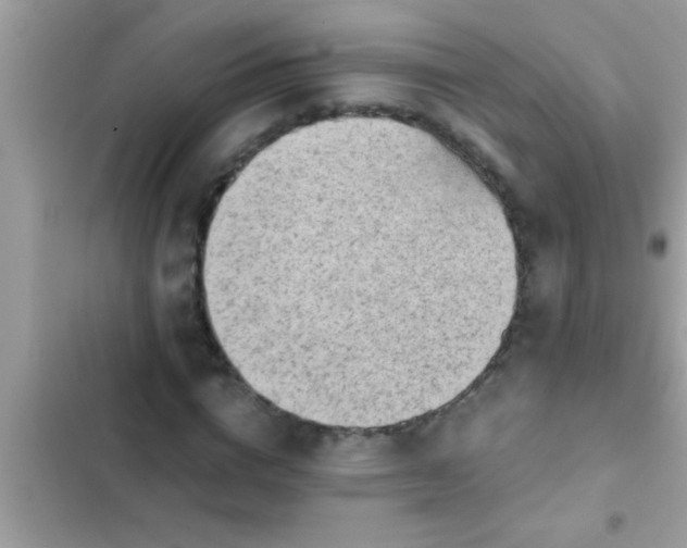 X0000102390824200808151919