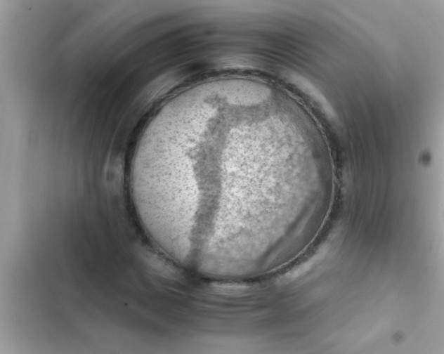 X0000102390825200808151919