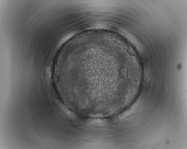 X0000102390826200808151919