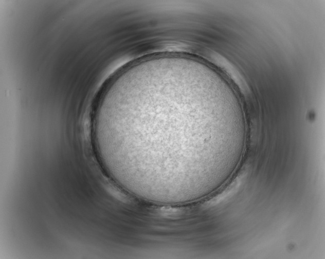 X0000102390827200808151919