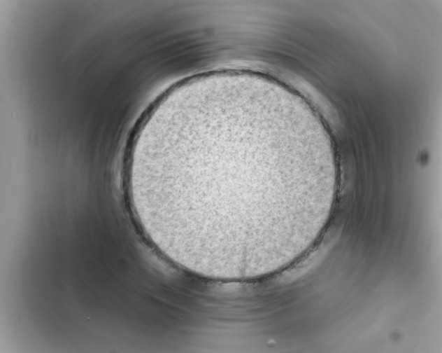 X0000102390828200808151919