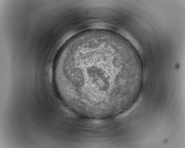 X0000102390829200808151919