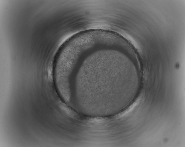 X0000102390830200808151919