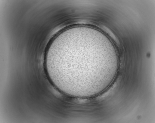 X0000102390831200808151919