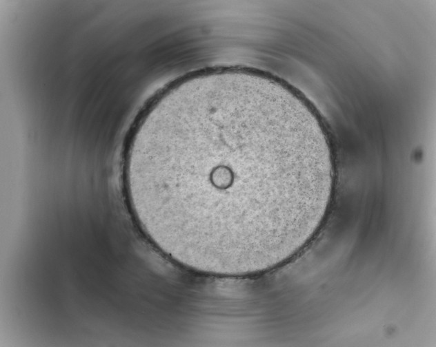 X0000102390832200808151919