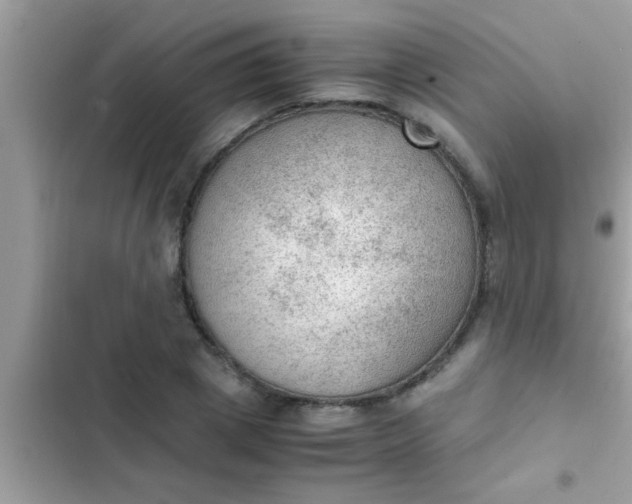 X0000102390833200808151919