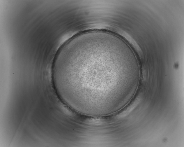 X0000102390834200808151919