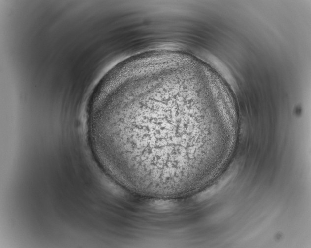 X0000102390835200808151919