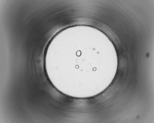 X0000102390836200808151919