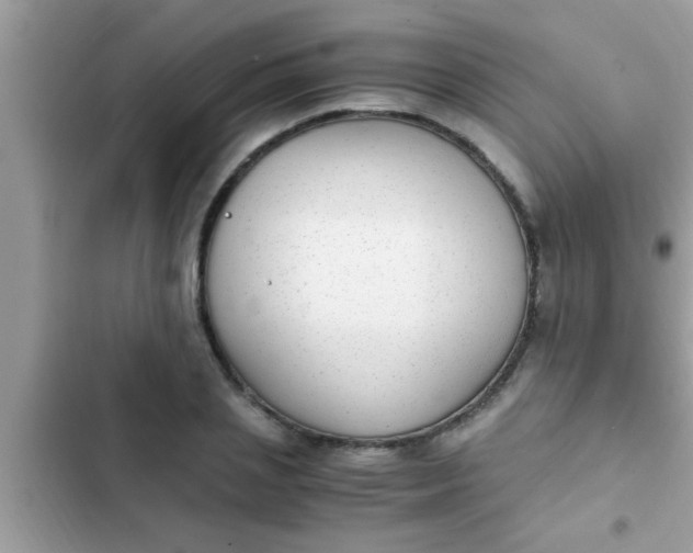 X0000102390837200808151919