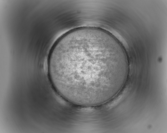 X0000102390838200808151919