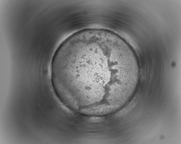 X0000102390839200808151919