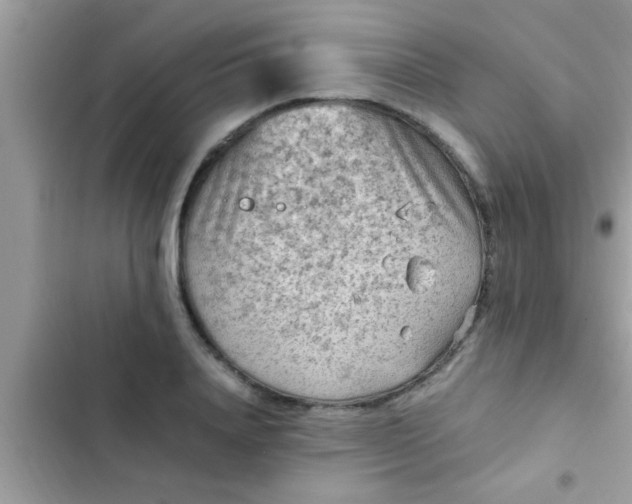 X0000102390840200808151919