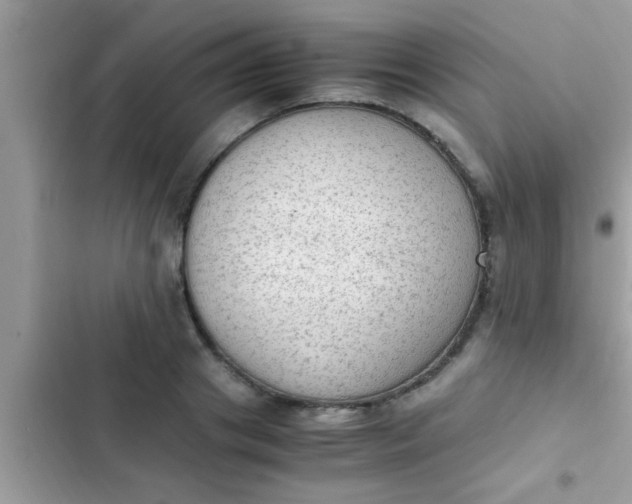 X0000102390841200808151919