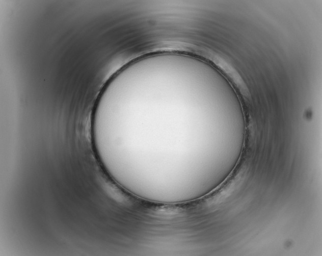 X0000102390842200808151919