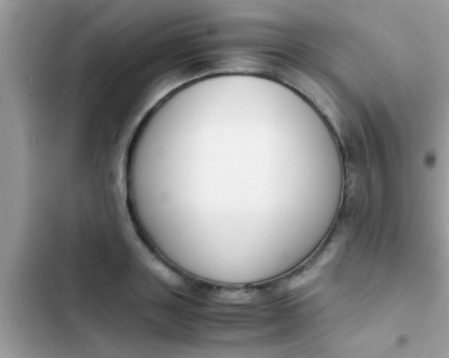 X0000102390843200808151919