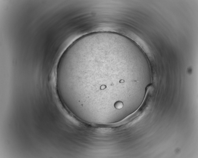 X0000102390844200808151919