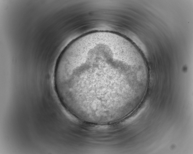 X0000102390845200808151919