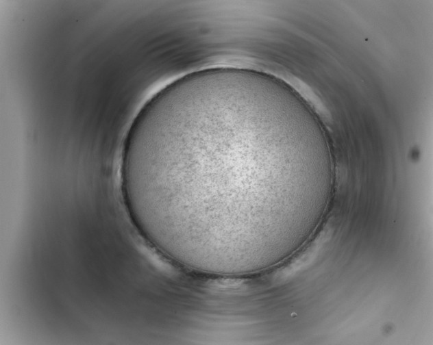 X0000102390846200808151919